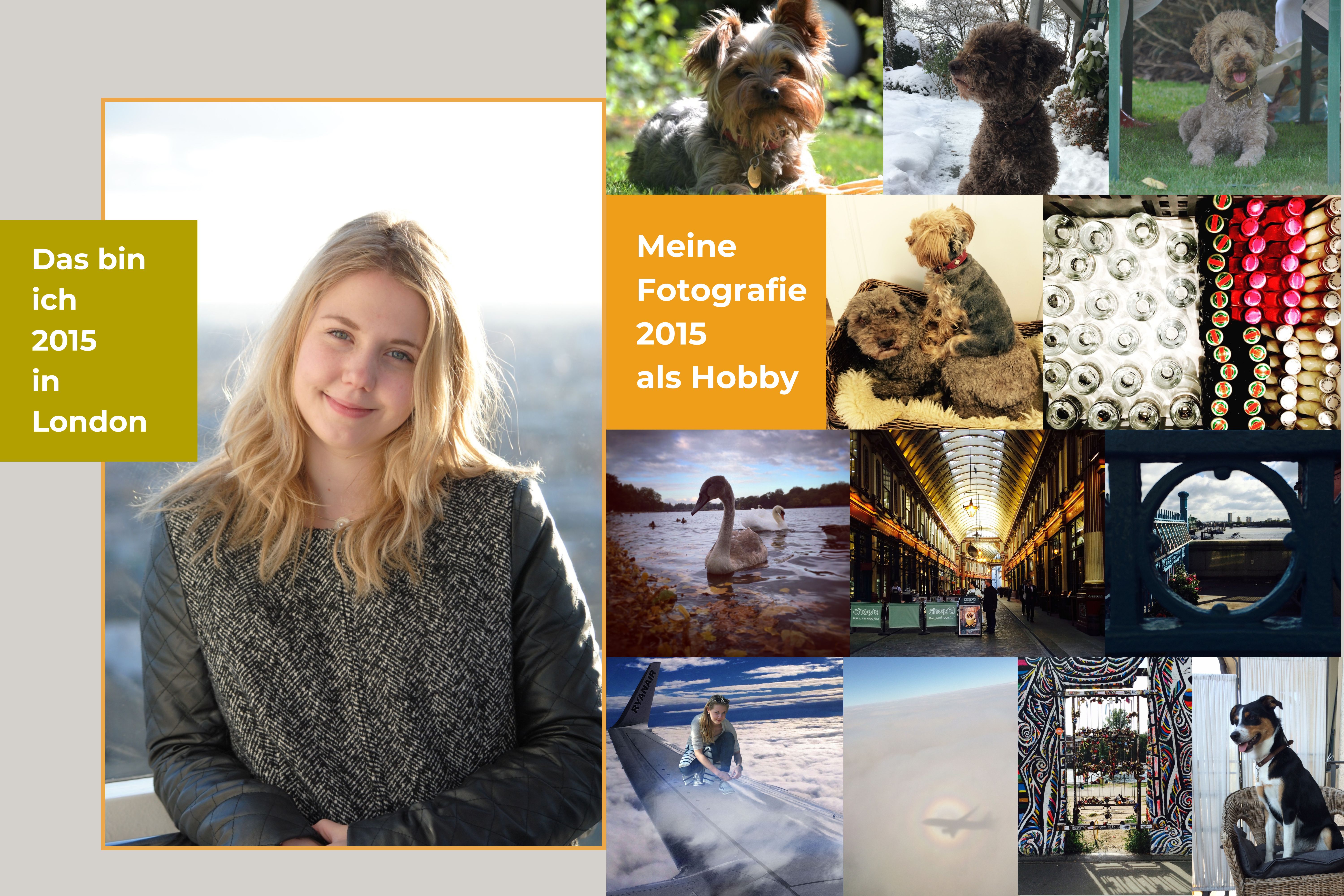 blog-lisamariekurth-2015-fotografie-als-hobby Collage mit Porträt von Lisa-Marie Kurth aus dem Jahr 2015 und ihren frühen Fotografien als Hobby – darunter Tierbilder, Reise- und Alltagsmotive.