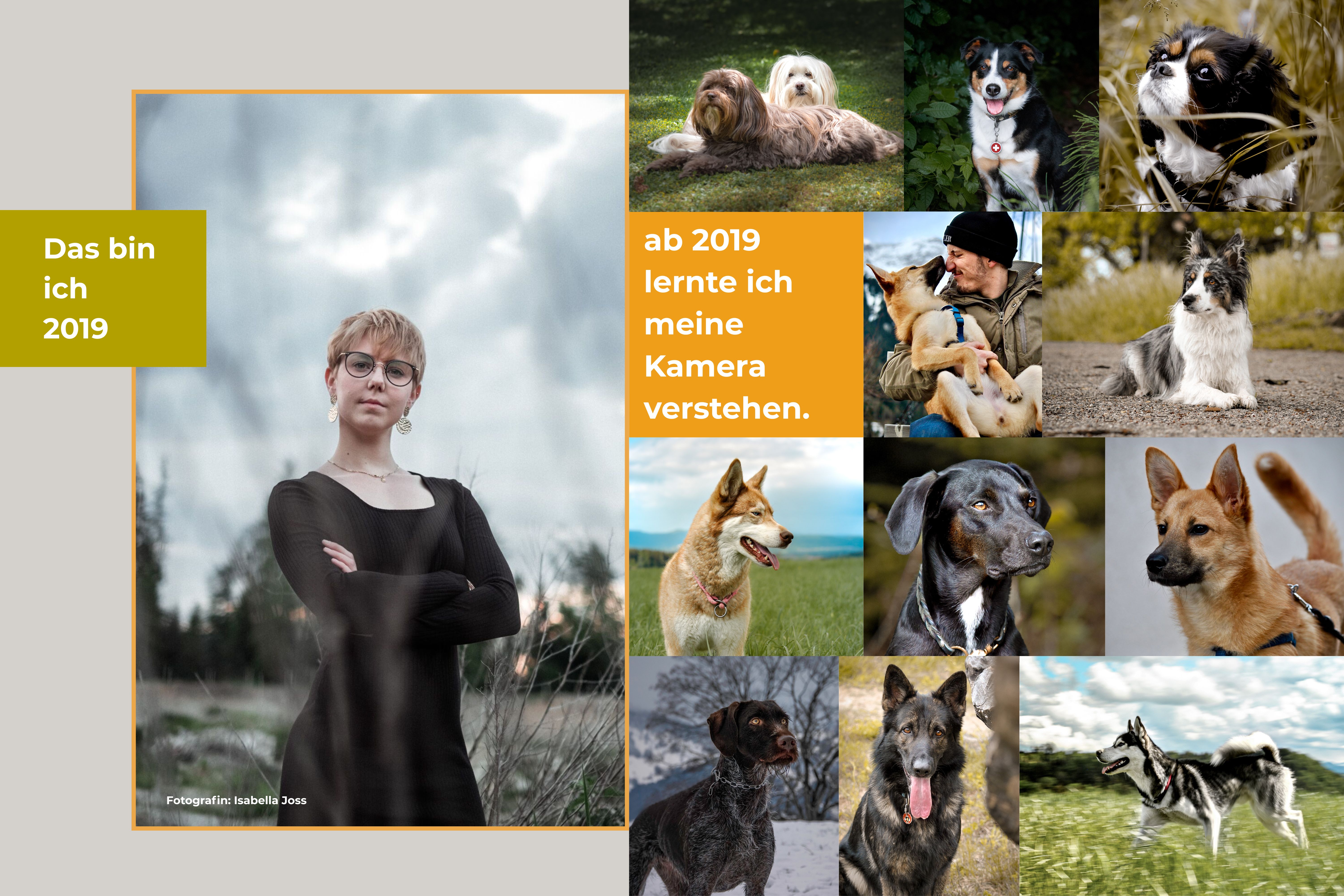 blog-lisamariekurth-2019-fotografie-neu-entdeckt Porträt von Lisa-Marie Kurth 2019 und Collage mit Hundebildern – Beginn ihrer fotografischen Entwicklung mit technischem Verständnis