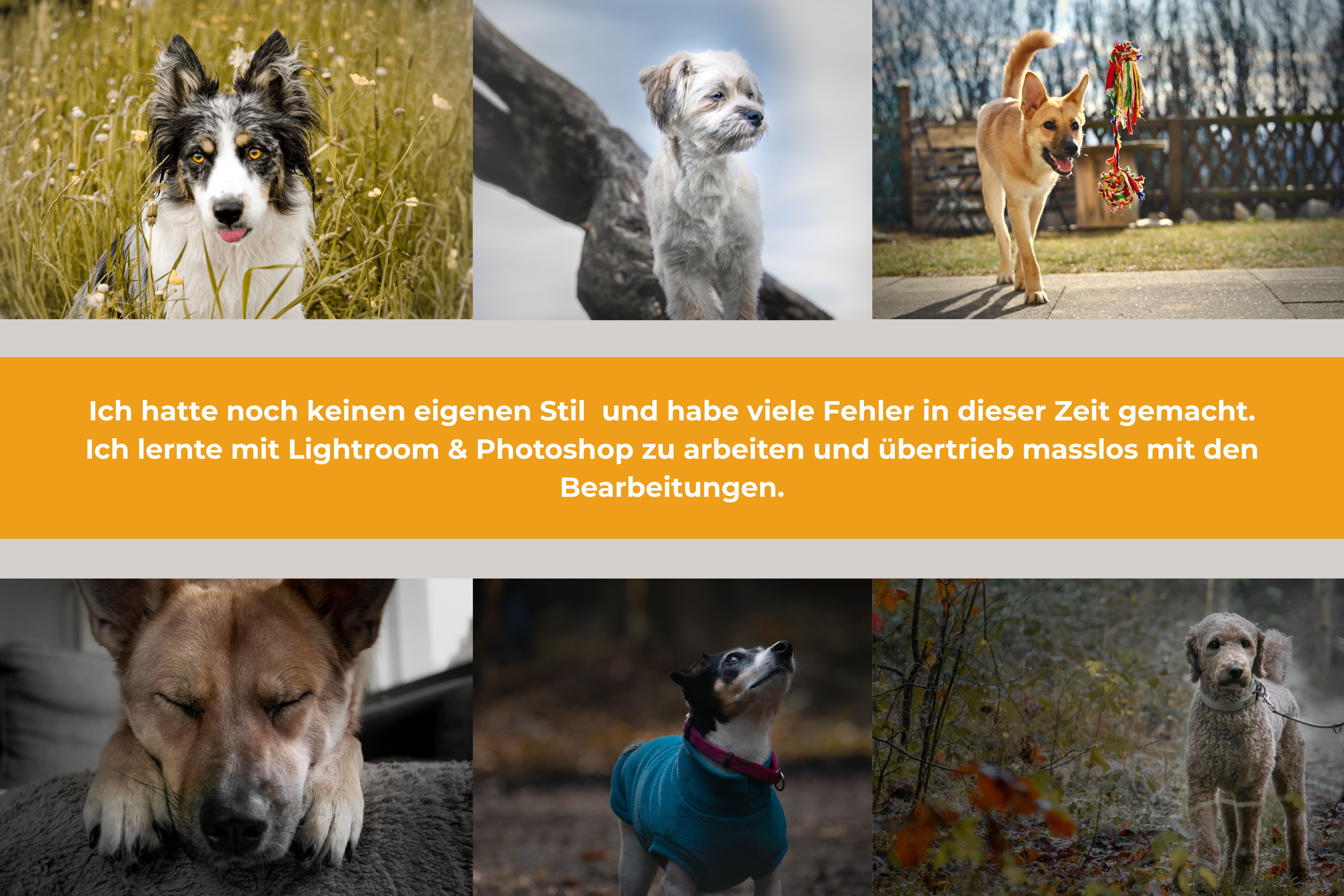 hundefotografie-anfänge-lightroom-photoshop-lisa-marie-kurth.jpg Collage mit Hundefotos und Text über Lernprozess mit Lightroom und Photoshop – frühe Experimente der Fotografin Lisa-Marie Kurth