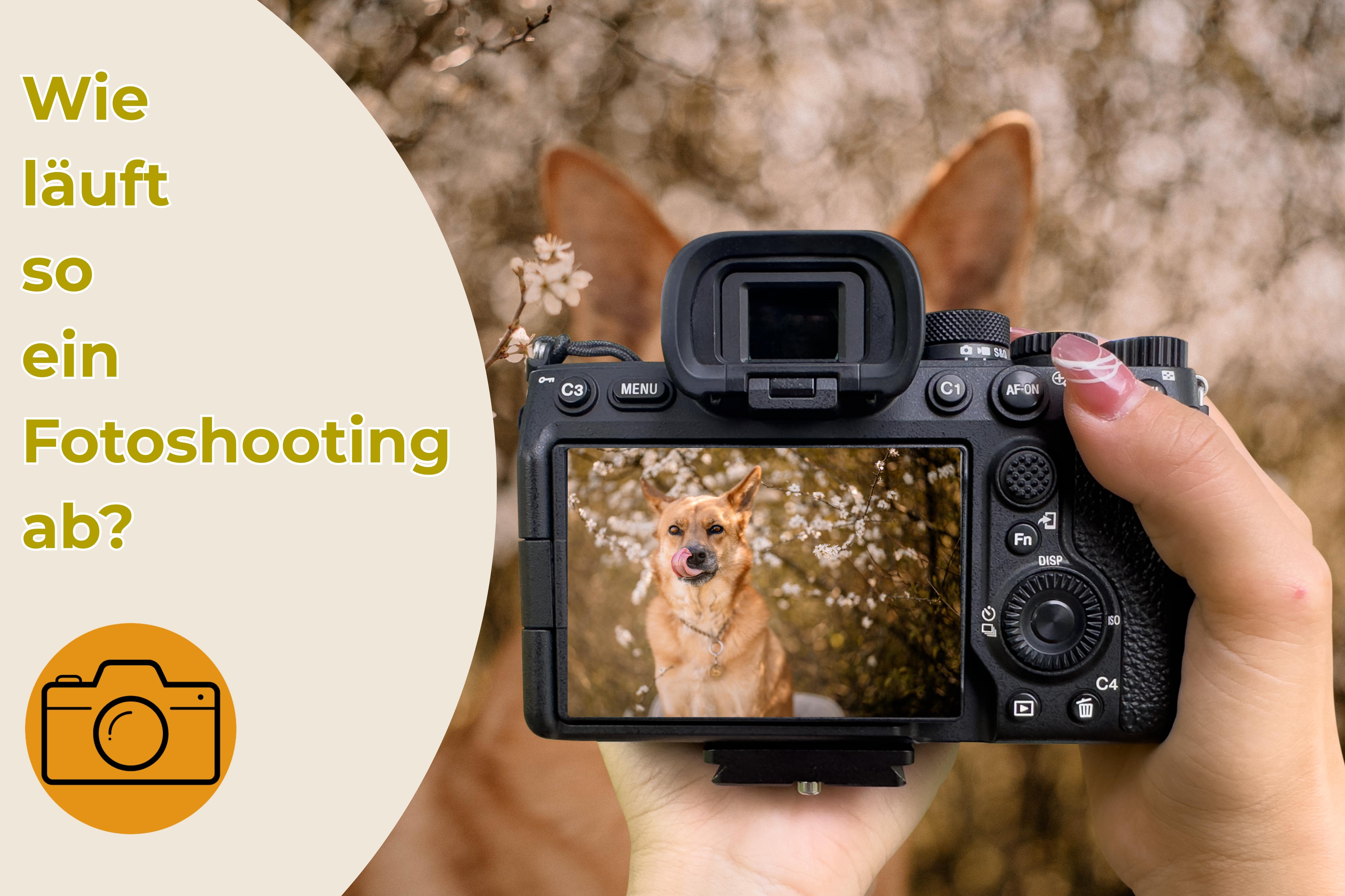 Digitalkamera zeigt Nahaufnahme eines Hundes beim Outdoor-Fotoshooting, daneben Text „Wie läuft so ein Fotoshooting ab?“ – Symbolbild für Shooting-Ablauf.