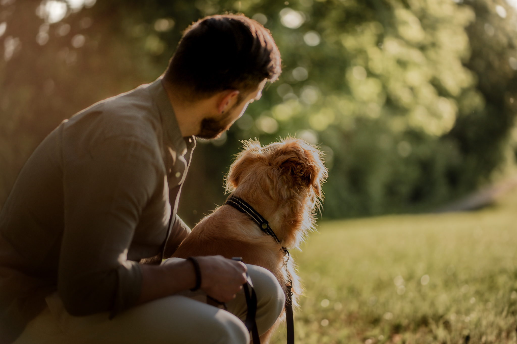 Mann sitzt mit Golden Retriever auf einer Wiese, beide blicken gemeinsam in die Natur.
