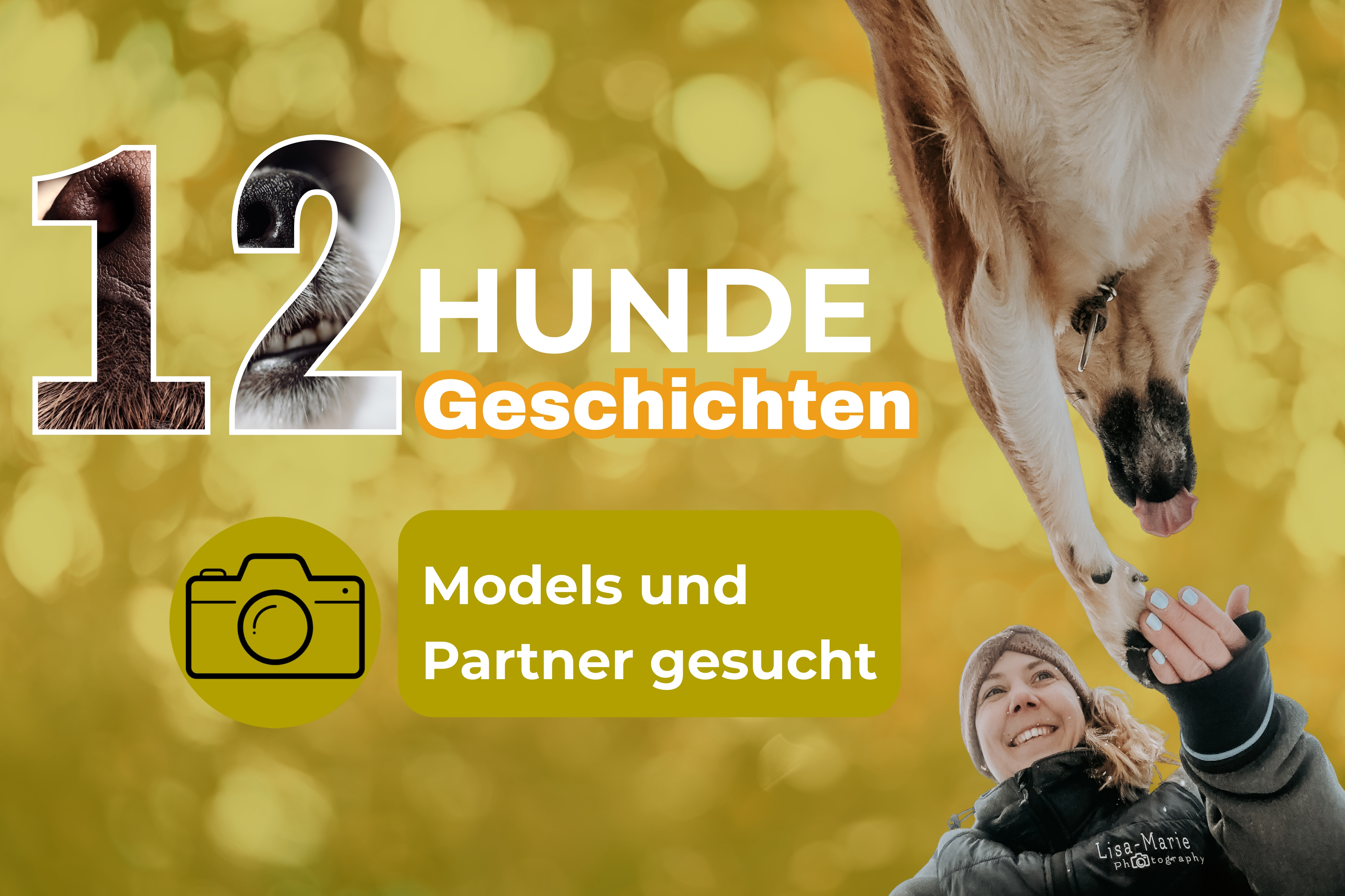 Grafik zum Projekt „12 Hunde 12 Geschichten“ mit Hundepfote und Mensch, Aufruf zur Teilnahme an einem Hundefotografie-Projekt von Lisa-Marie Kurth.