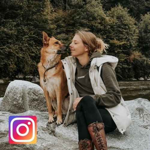 Lisa-Marie Kurth Photography beim füttern eines Elches. 