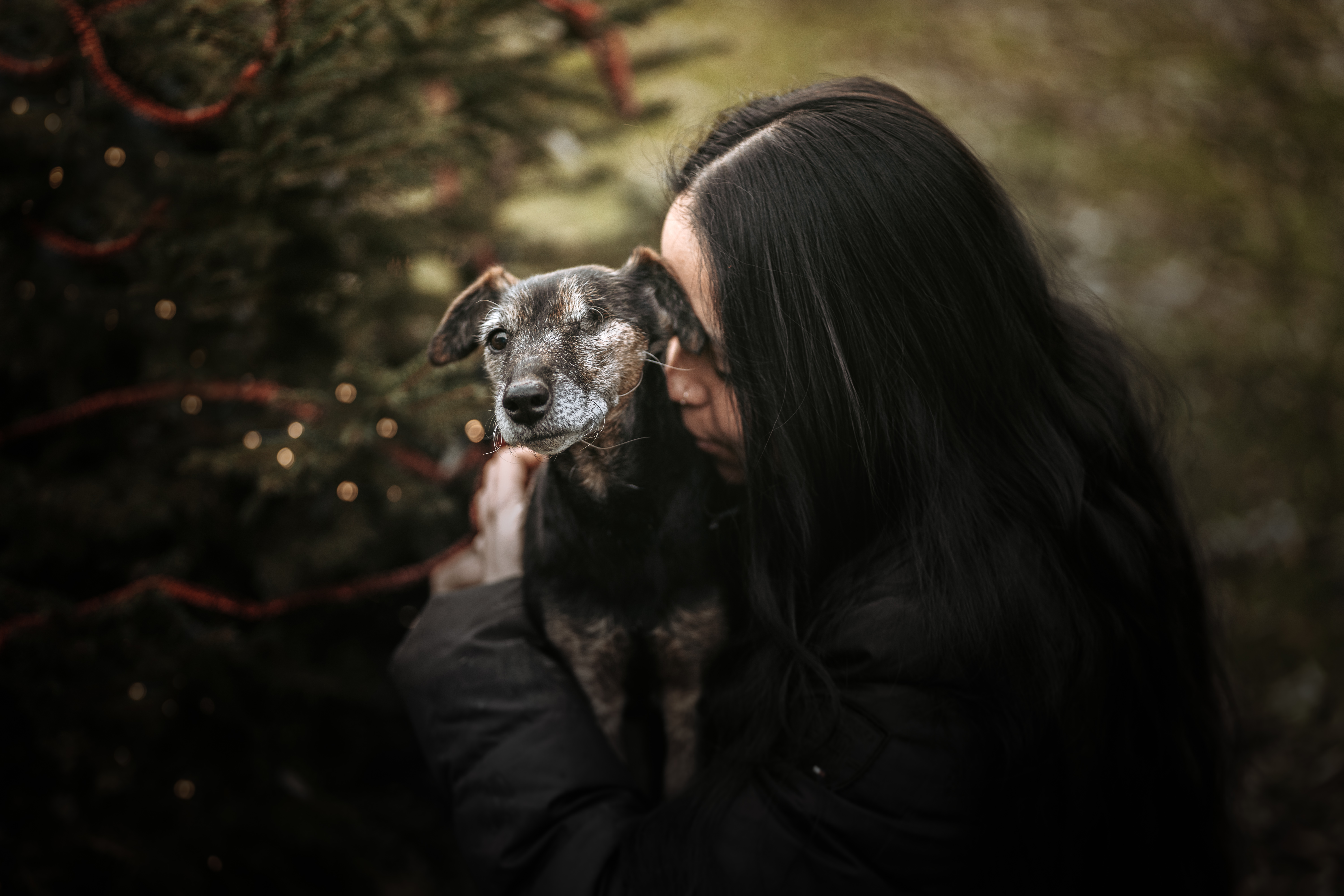 Frau hält ihren älteren Hund liebevoll im Arm, der Hund blickt ruhig in die Kamera, Weihnachtsbaum mit Lichtern im Hintergrund – emotionale Mensch-Hund-Hundefotografie von Lisa-Marie Kurth.