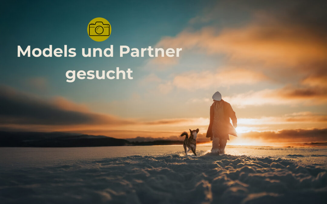 12 Hunde 12 Geschichten – Fotokalender 2027